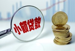 东莞2哪里可以小额贷款-东莞2哪里有民间借贷-东莞2民间短期私借借款